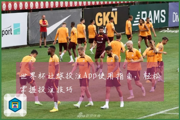 世界杯让球投注App使用指南，轻松掌握投注技巧