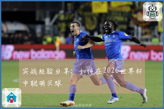 实战经验分享：如何在2026世界杯中聪明买球