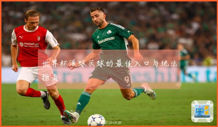 世界杯滚球买球的最佳入口与玩法指南